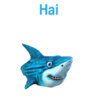 Hai               